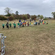 Img 3374