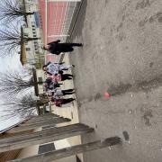 Img 5775